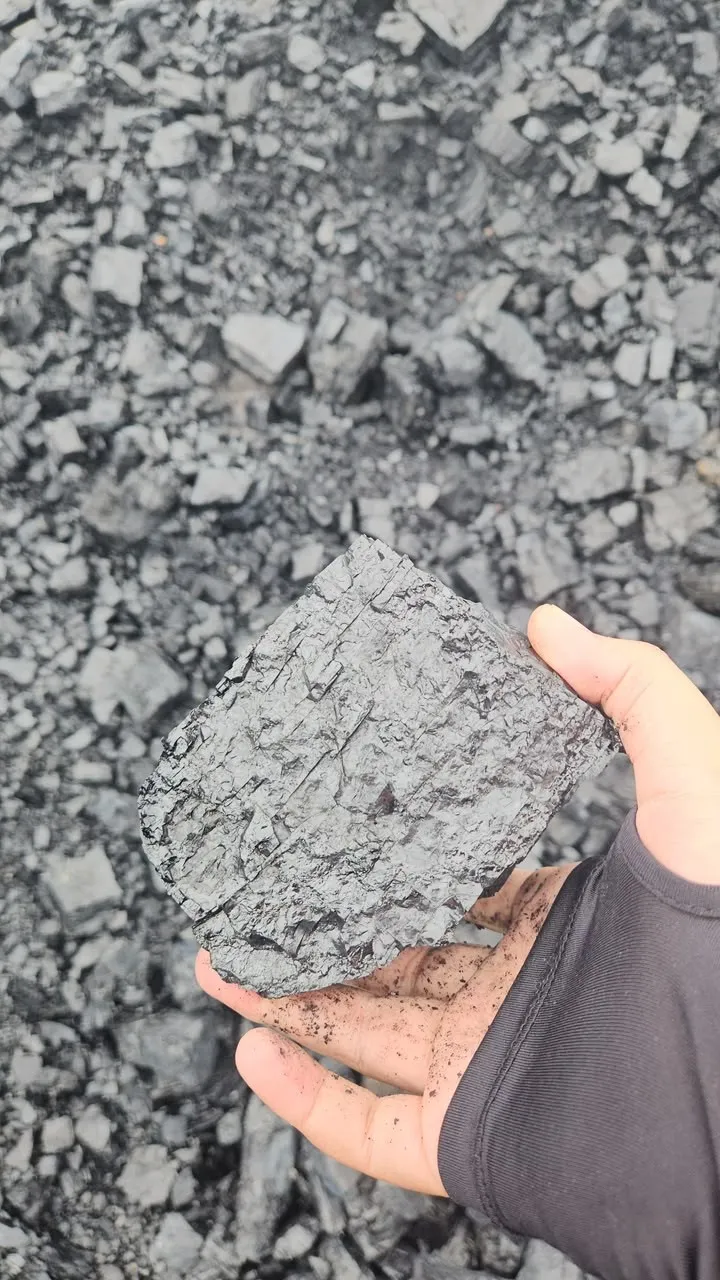 A lump of coal held over the stockpile